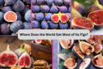 Where Does the World Get Most of Its Figs?