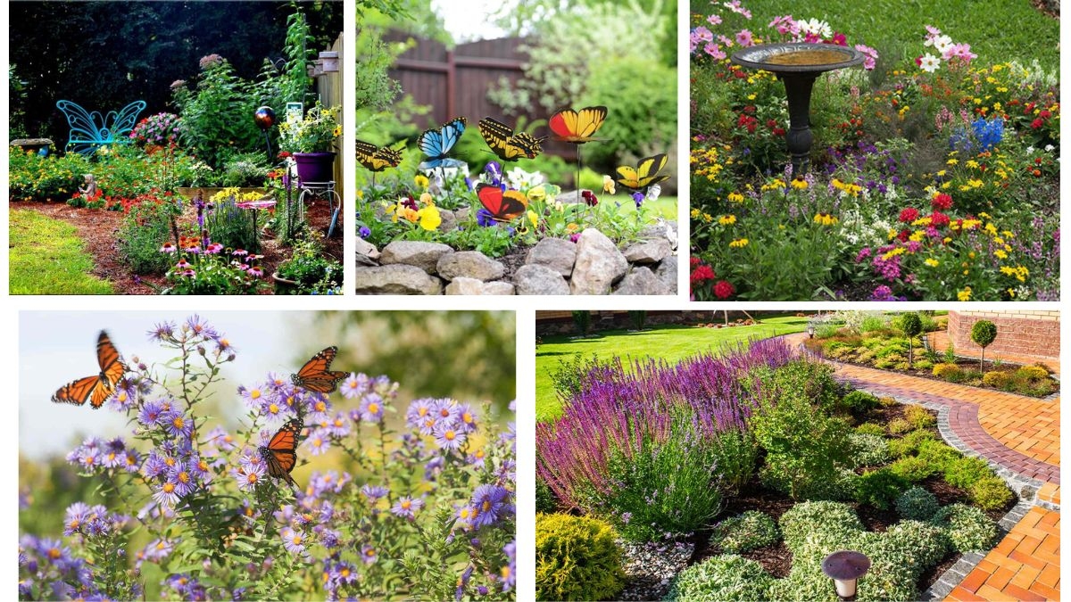 How to Start a Butterfly Garden in Your Backyard
