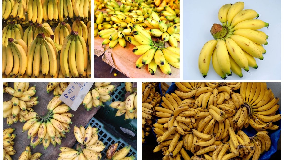 Which Country is Famous for Producing the Most Bananas?