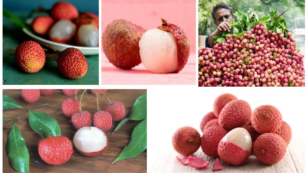 Which Country Is Famous for Producing the Most Lychees?