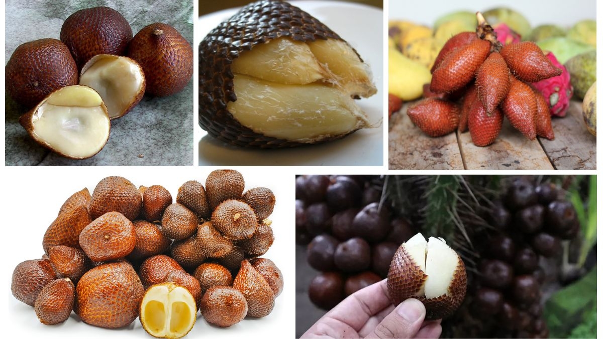 Which Country Is the Largest Salak (Snake Fruit) Producer Globally?