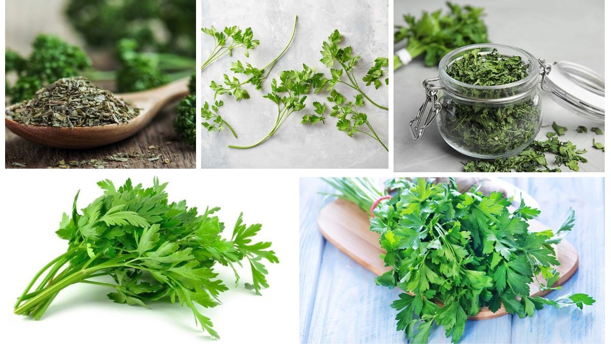 Which Country Is the Largest Parsley Producer in the World?