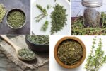 Which Country Is the Largest Thyme Producer in the World?