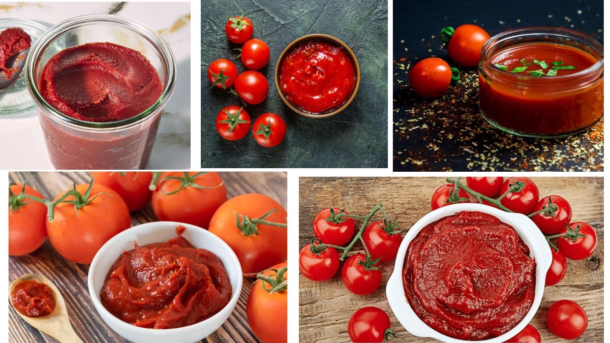 Which Country Is the Largest Tomato Paste Producer in the World?