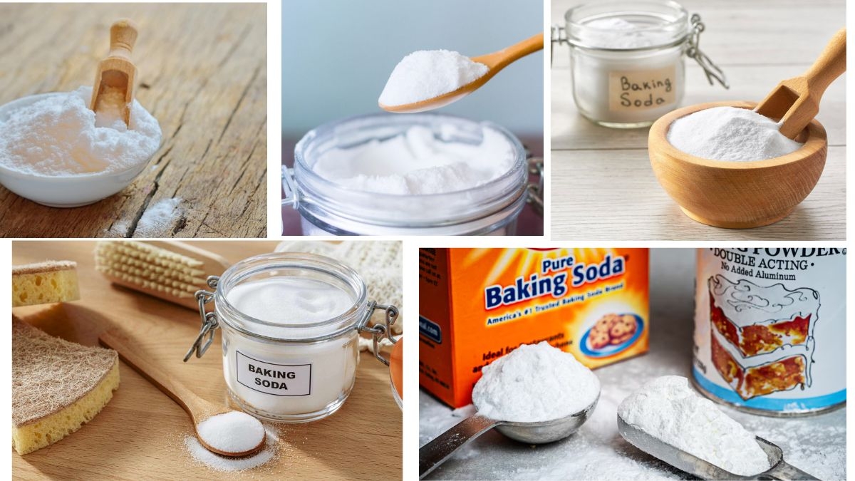 Which Country Is the Largest Baking Soda Producer in the World?