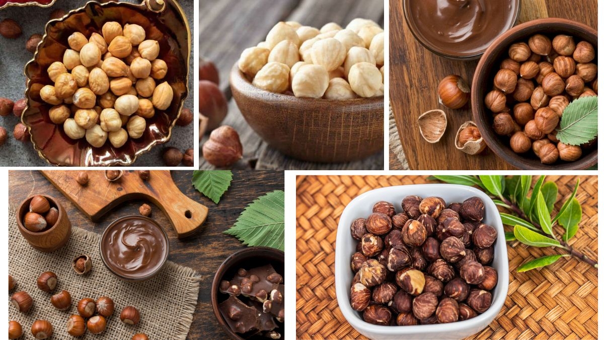 Which Country Is the Largest Hazelnut Producer in the World?