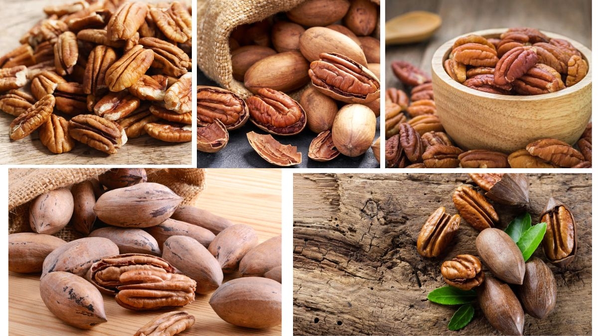 Which Country Is the Largest Pecan Producer in the World?