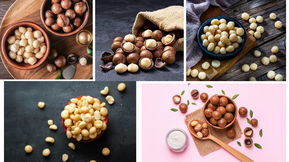 Which Country Is the Largest Macadamia Producer in the World?
