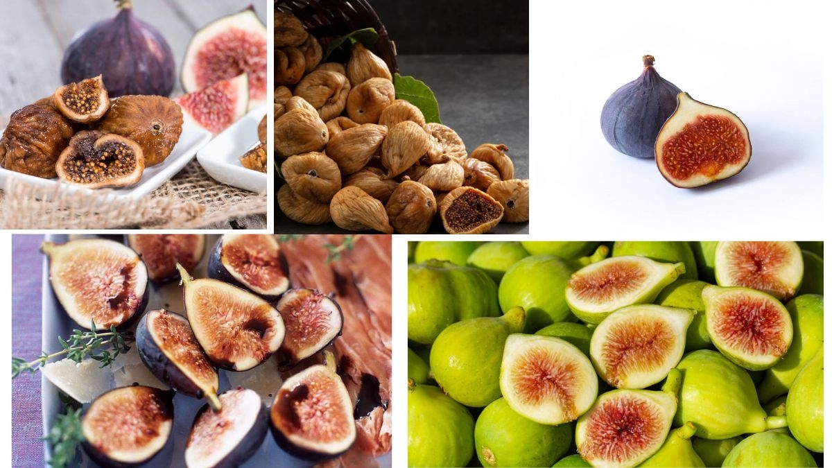 Which Country Is the Largest Fig Producer in the World?