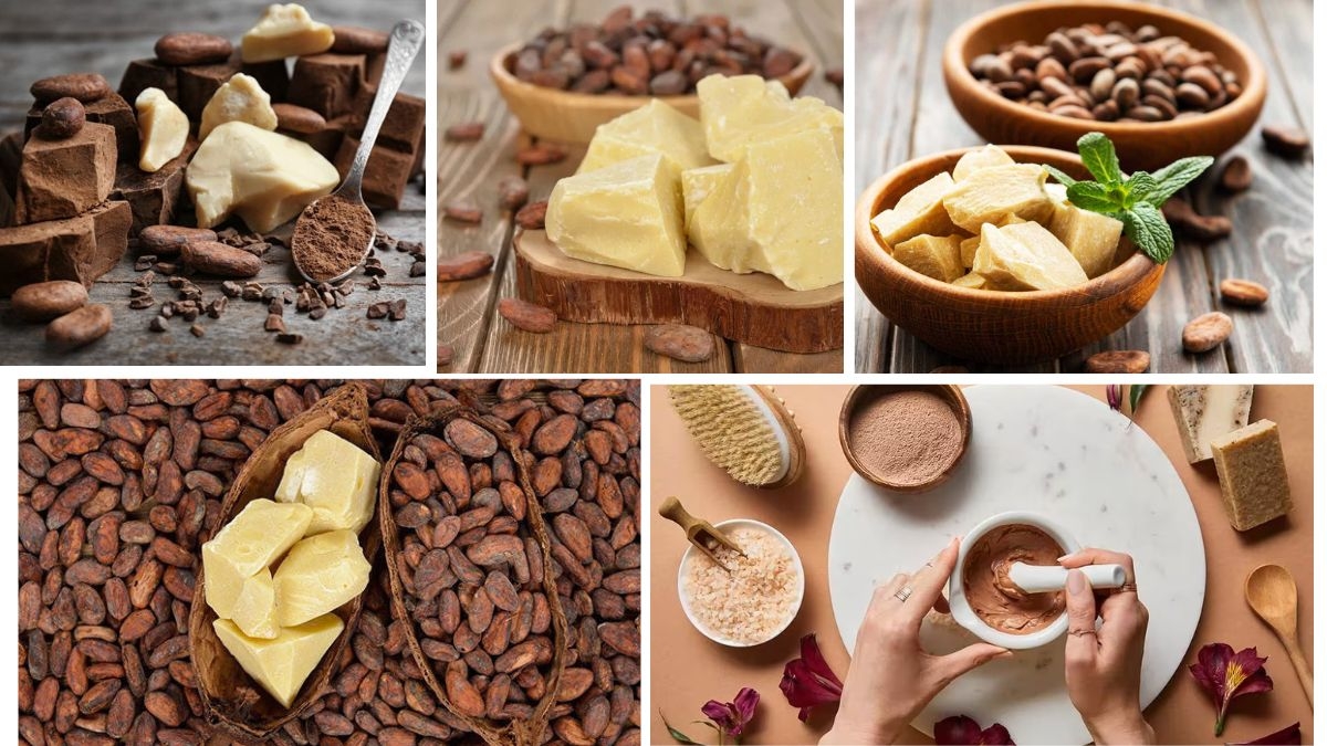Which Country Is the Largest Cocoa Butter Producer in the World?