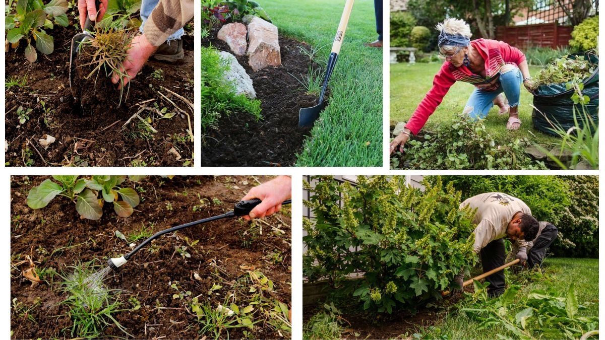 How Do You Stop Weeds From Invading Flower Beds?