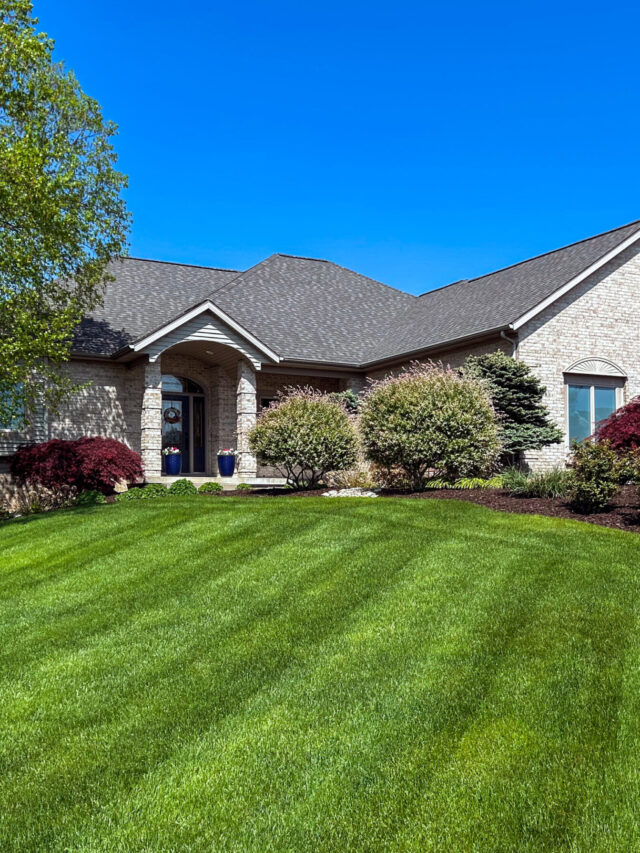 How to Sow Grass Seed for a Beautiful Lawn the Easy Way