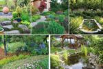 How to Create a Lush Garden With Minimal Water