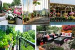 Balcony Gardening Tips for Urban Gardeners