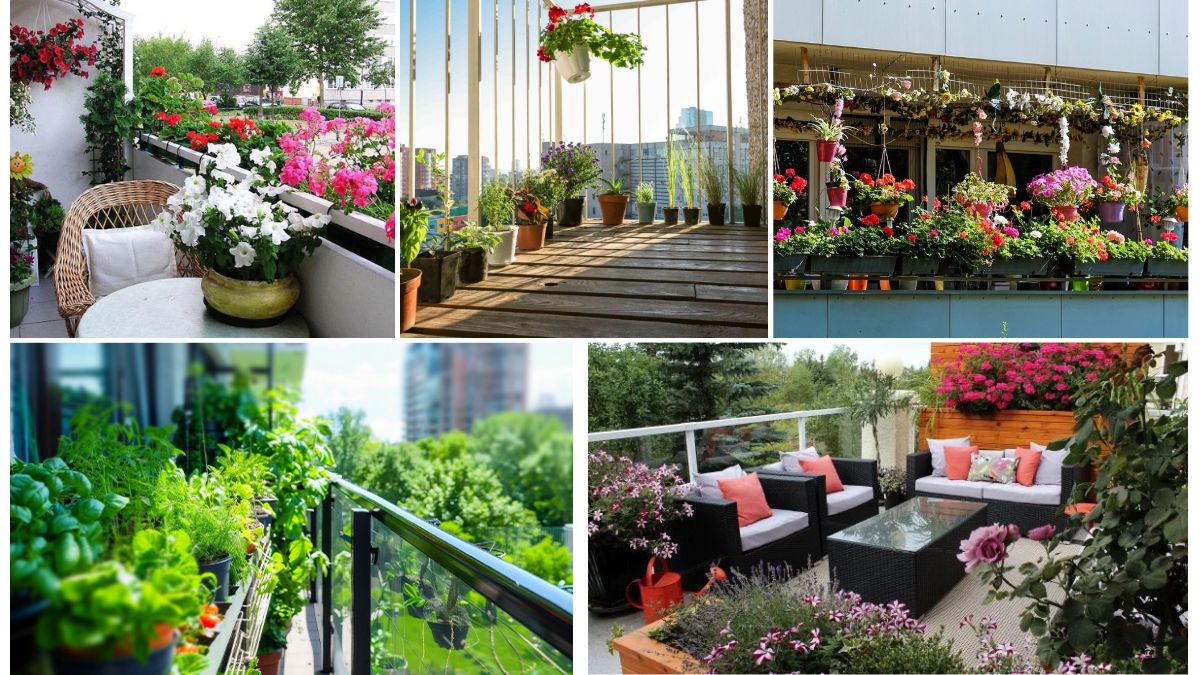 Balcony Gardening Tips for Urban Gardeners