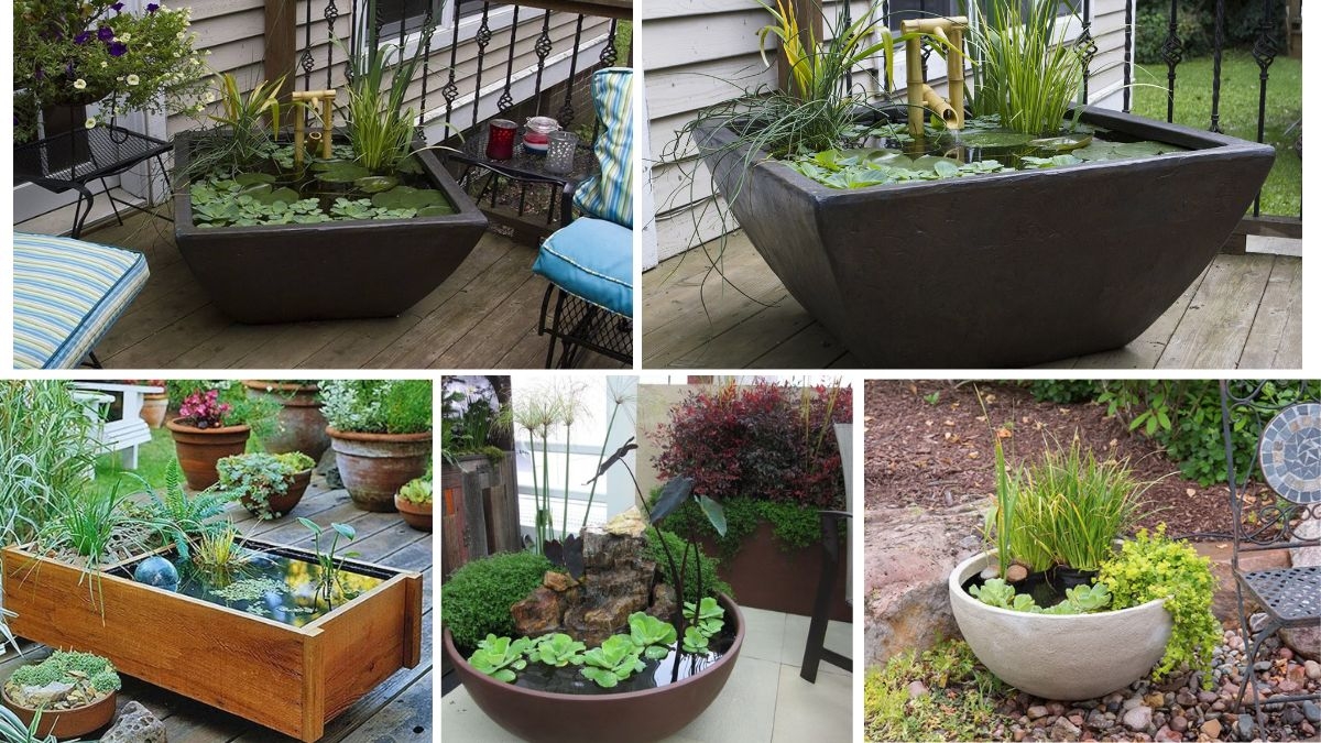 Container Water Garden Ideas for Patios