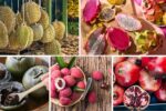Why Fruits Taste Different by Region