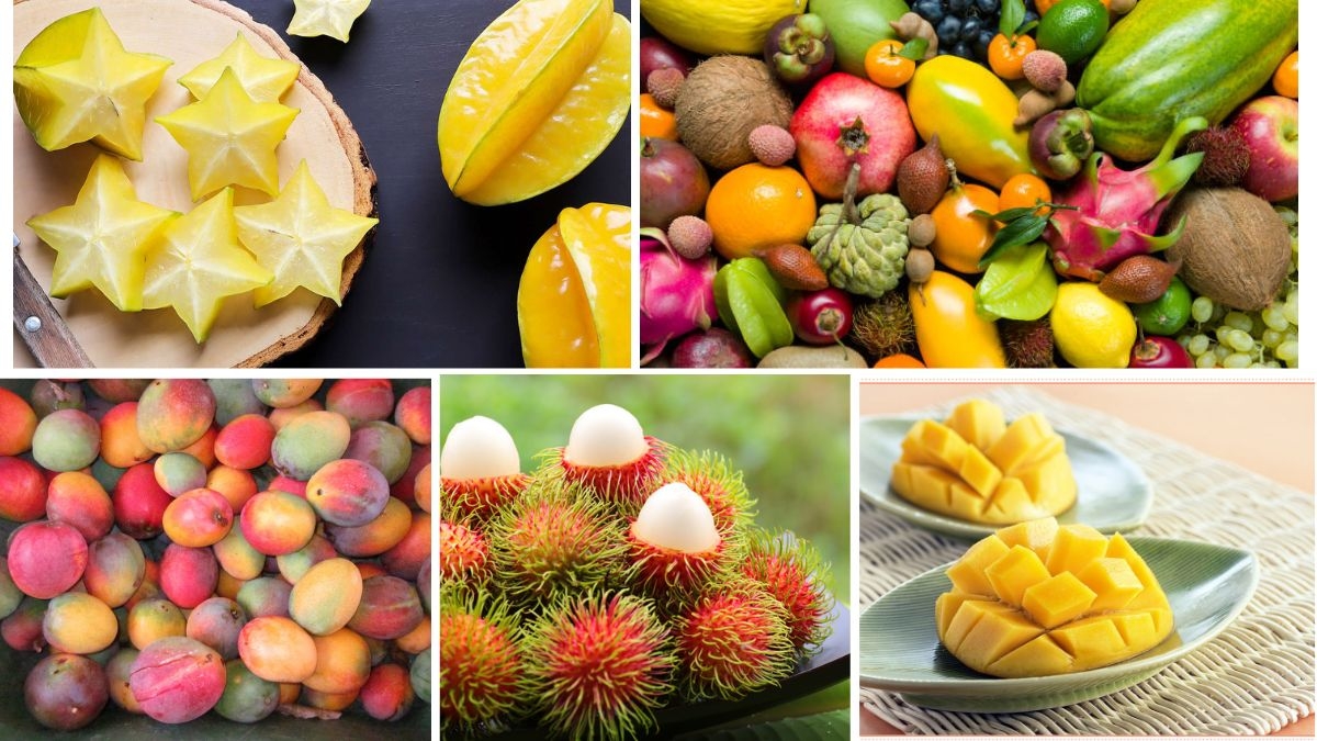 What Makes a Fruit Truly “Tropical”?