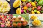 What Makes a Fruit Truly “Tropical”?