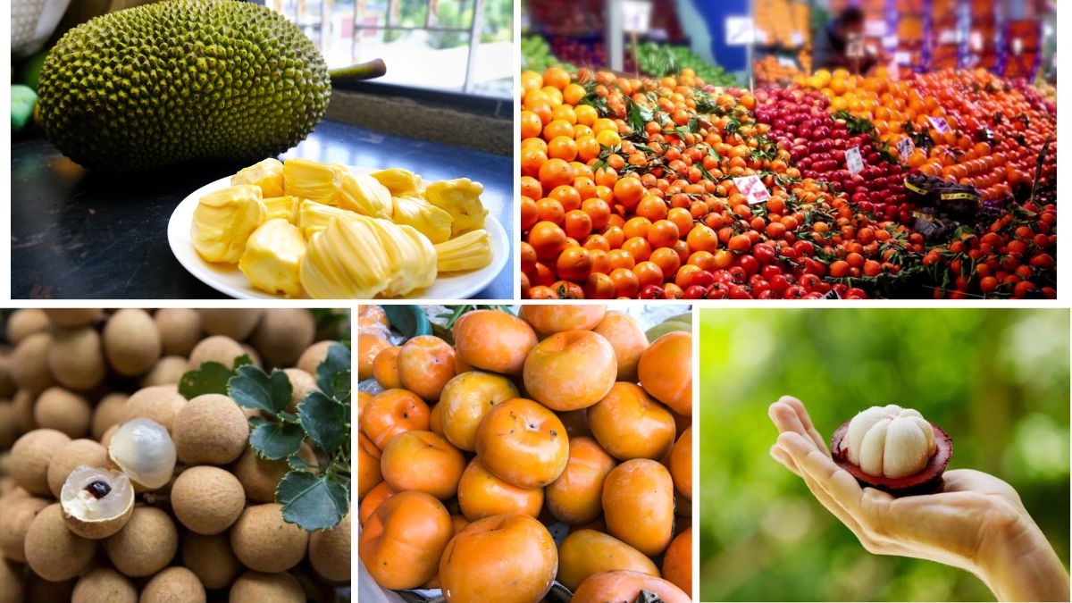 Indian vs Southeast Asian Fruit Production
