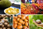 Indian vs Southeast Asian Fruit Production