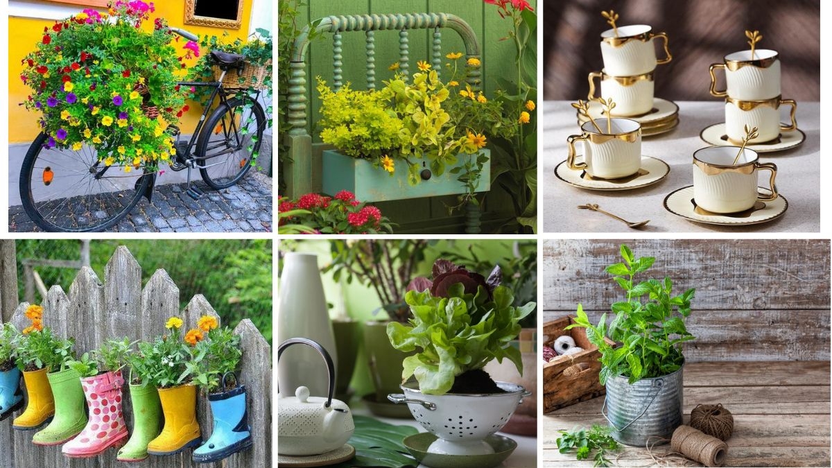 6 Creative Repurposed Planters for Unique Garden Decor