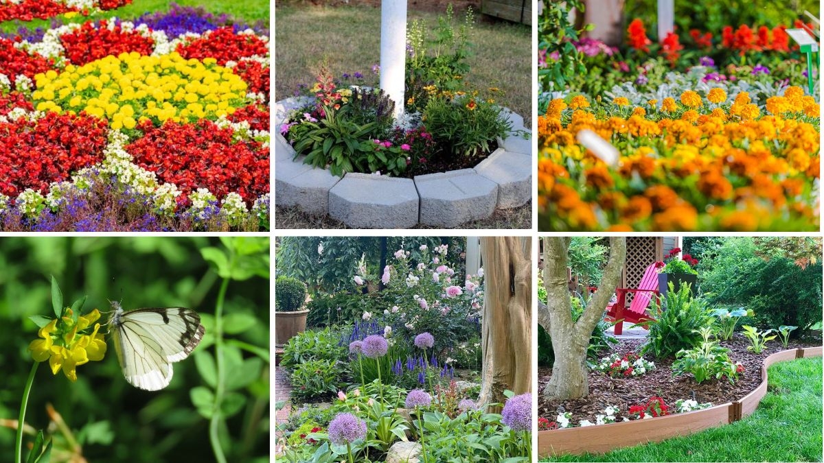 6 Unique Oval Flower Beds