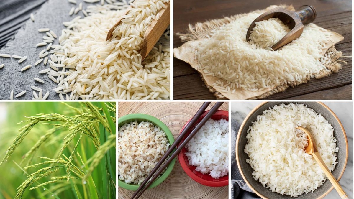 Which Country is the Largest Rice Exporter?