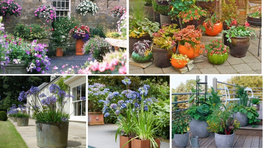 Garden Container Ideas for Every Season