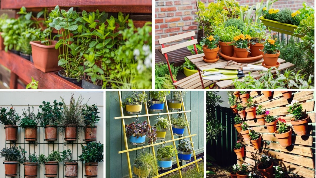 How to Build a Vertical Herb Wall in Your Kitchen