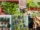 How to Build a Vertical Herb Wall in Your Kitchen