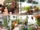 Balcony Garden Ideas That Save Space and Look Stunning