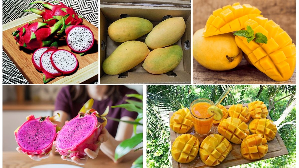 Dragon Fruit vs Mango Exports: Who Wins?