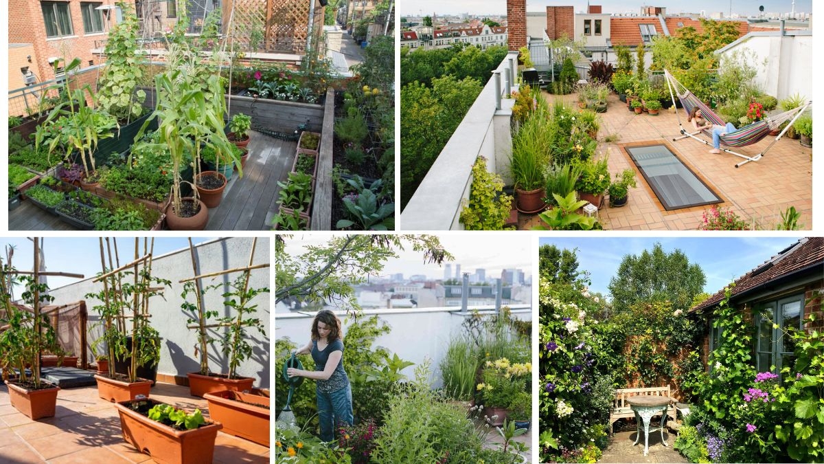 The Ultimate Rooftop Gardening Checklist