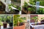 DIY Drip Irrigation System for Balcony Plants